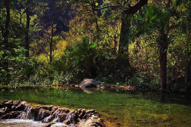 Moderate Himalayan Treks Near Rishikesh From Delhi - Good To Know