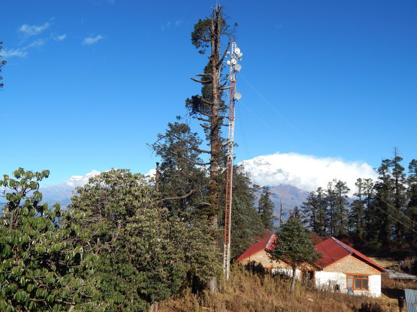 Mohare Danda: Majestic 6-days Trek