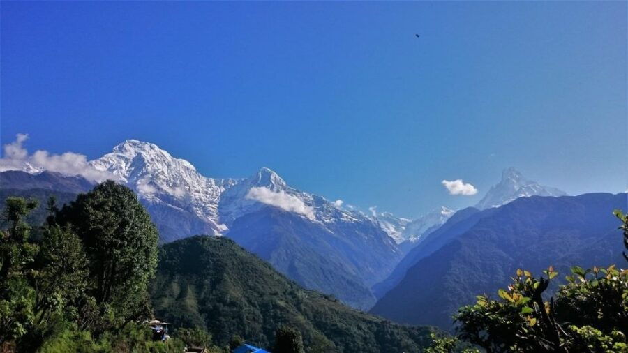 Mohare Danda Trek - Experience