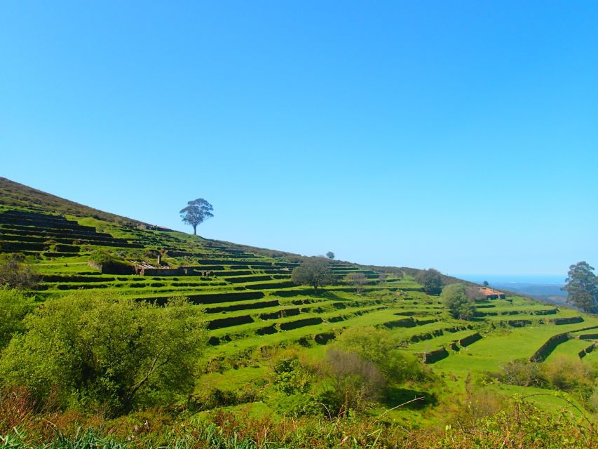 Monchique and Fóia: Half Day Tour