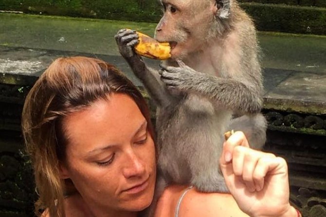 Mongkey Forest , Waterfall and Rice Terraces - Good To Know