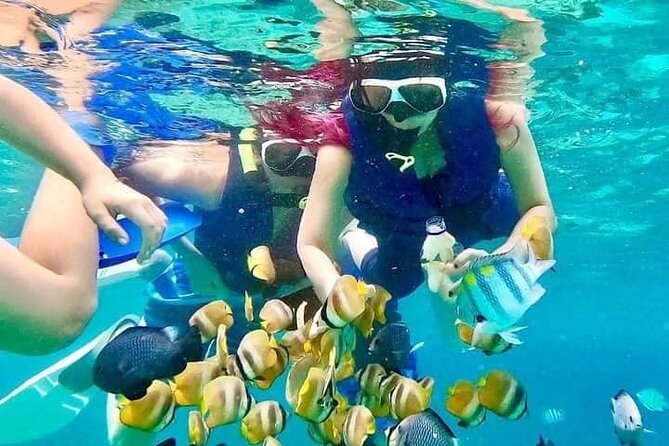 Monkey Bar and Snorkling Adventure at Blue Lagoon.