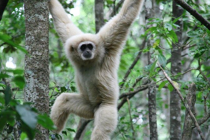 Monkeyland Guided Tour in Plettenberg Bay