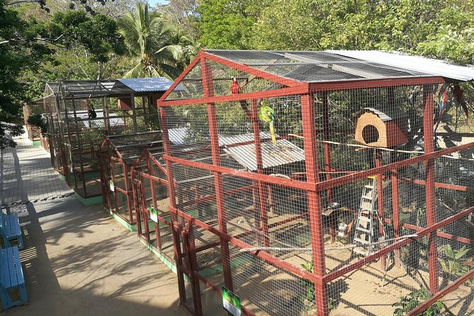 Monkeys and Sloths Hangout in Roatan, Honduras (Feb )