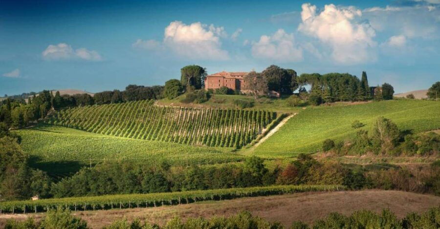 Montalcino: Brunello Wine Tasting Experience