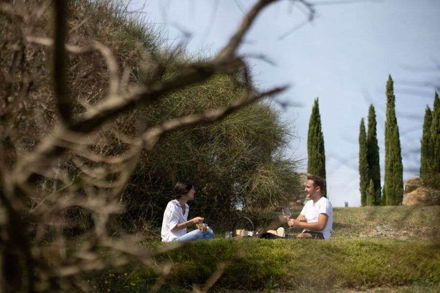 Montalcino: Vineyard Picnic With a Bottle of Wine