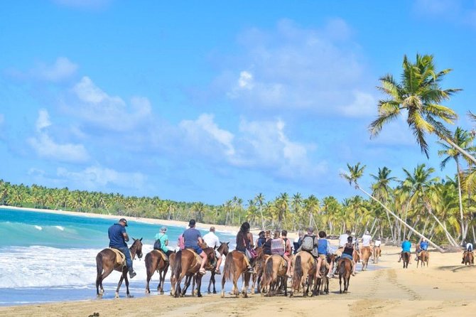 Montana Redonda Group Horseback Ride - Punta Cana - Additional Information and Cancellation Policy