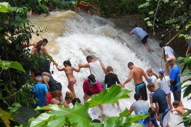 Montego Bay Shore Excursion: Blue Hole and Dunns River Falls Tour - Good To Know