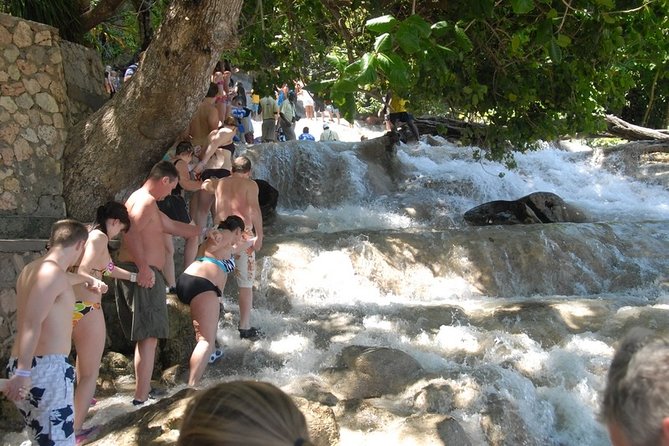 Montego Bay Tour: Dunns River Falls