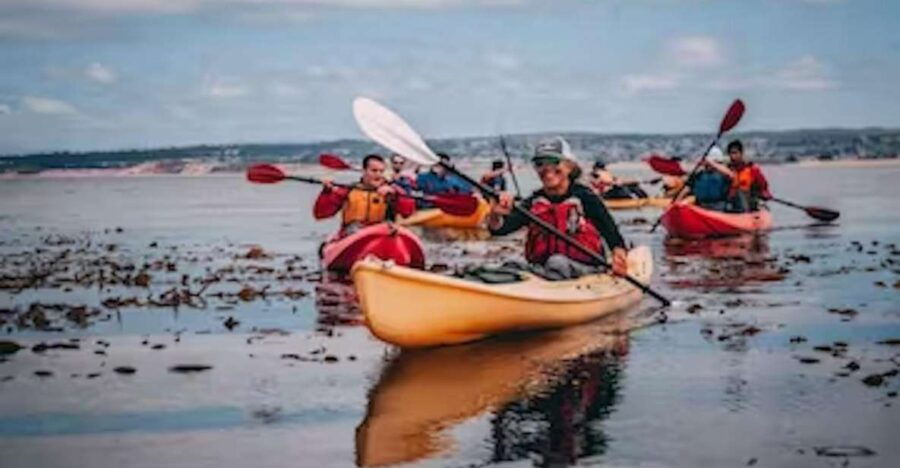 Monterey: Cannery Row Kayak Tour