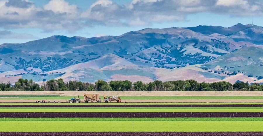 Monterey County Salinas Valley Farm Tour
