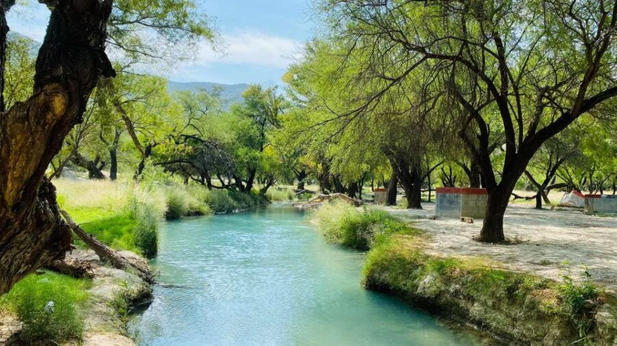 Monterrey: Bustamante Groutes Tour