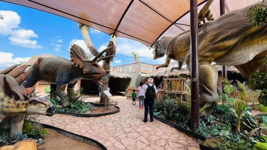 Monterrey: Desert Museum Tour