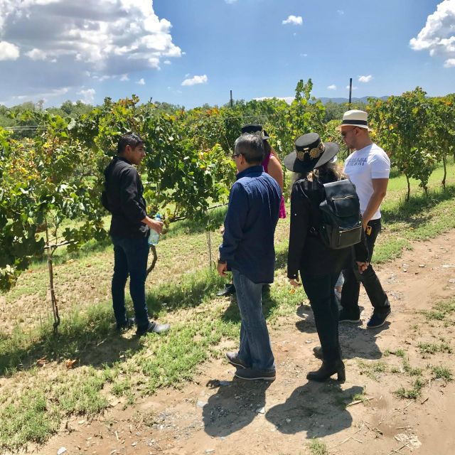 Monterrey: Parras De La Fuente Exploration Tour