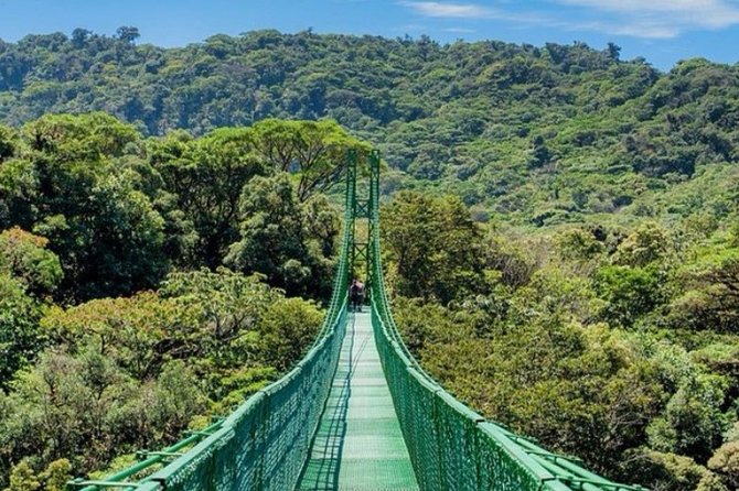 Monteverde Cloud Forest and Hanging Bridges in Selvatura Tour From San Jose - Good To Know