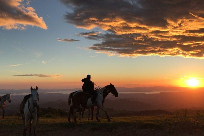 Monteverde Cloud Forest Horseback Riding - Good To Know