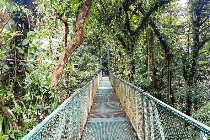 Monteverde Hanging Bridges Day Trip From San Jose - Good To Know