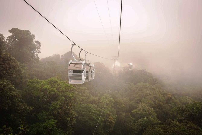 Monteverde Sky Tram & Hanging Bridges Cloud Forest Tour From San Jose
