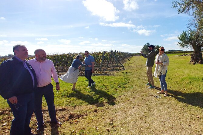 Montevideo 6-Hour Wine and Culture Tour With Guide