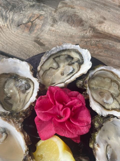 Montpellier: Boat Ride, Oysters and Wine Day