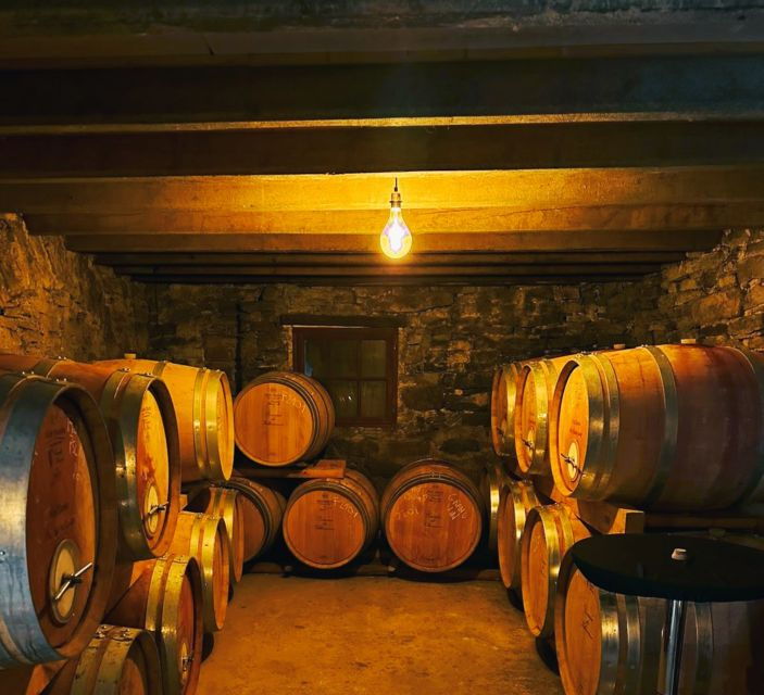 Montpellier: Half-Day Visit and Tasting at Pic St Loup