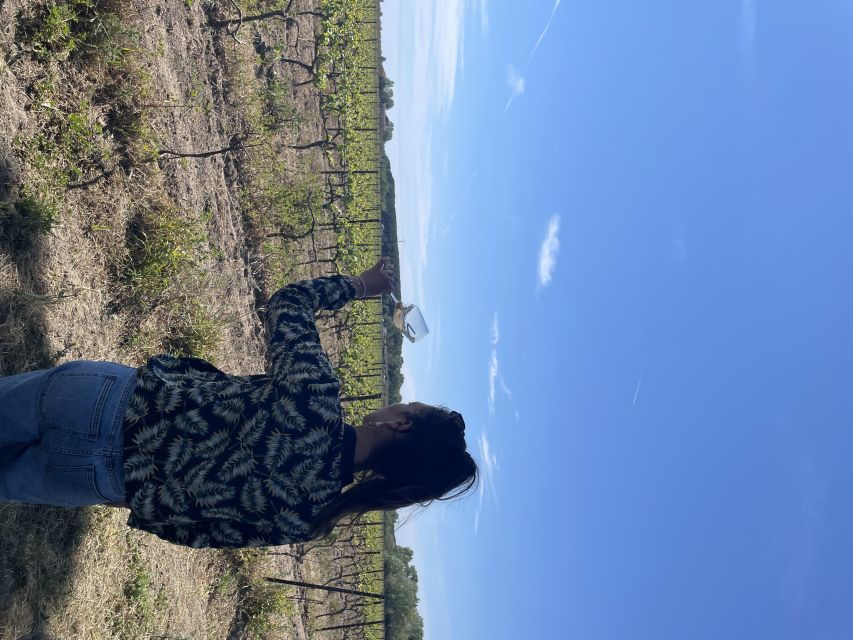 Montpellier : Half Day Wine Tour in Camargue