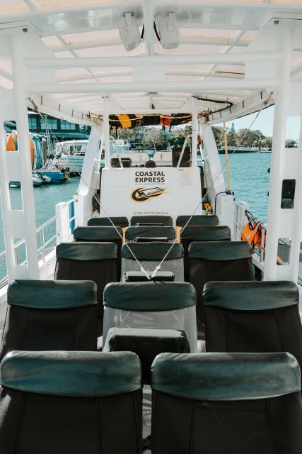 Mooloolaba: Adventure Rafting Turtle Tour