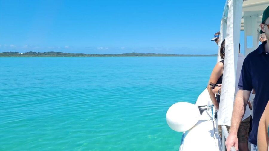 Moreton Bay Champagne and Oyster Tour From Brisbane