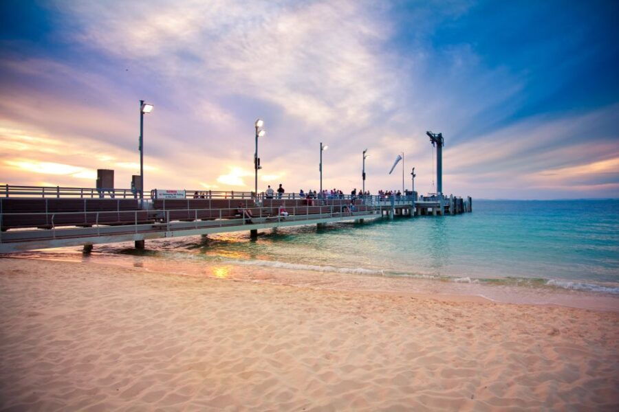 Moreton Island: Marine Discovery Cruise & Dolphin Feeding - Good To Know