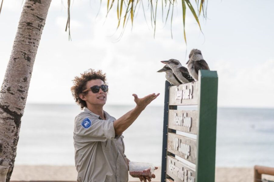 Moreton Island: Marine Discovery Cruise & Dolphin Viewing - Good To Know