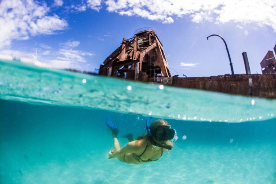Moreton Island: Tangalooma Day Trip With Snorkeling Tour