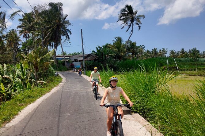 Morning Best Bali Cycling Kintamani Tour