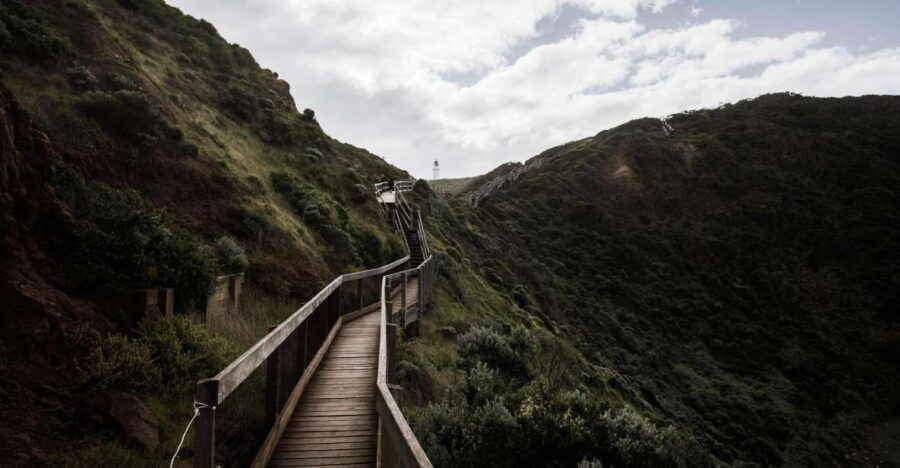 Mornington Peninsula & Hot Springs Tour - Good To Know