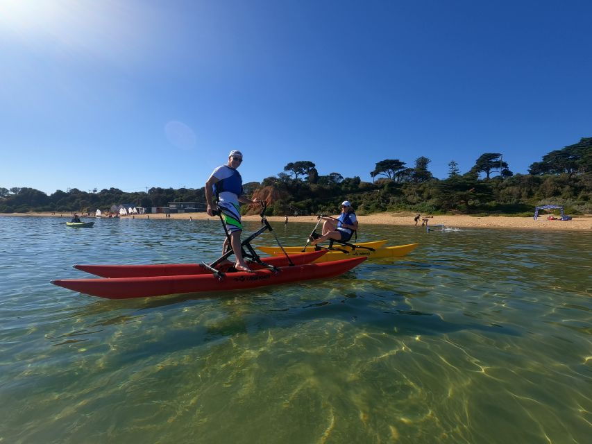 Mornington: Port Phillip Bay Water Bike Tour