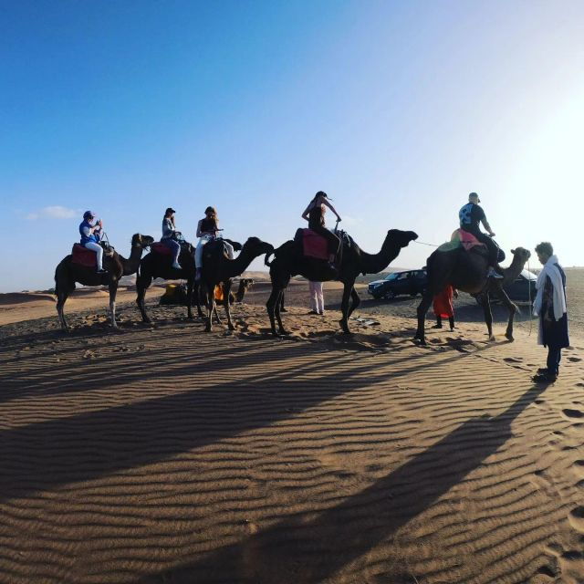 Morocco Camel Trekking, Morocco Sahara Desert From Marrakech - Good To Know