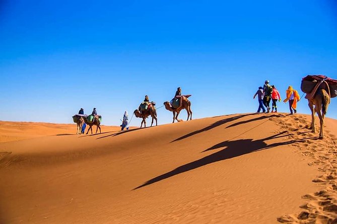 Morocco Desert Tours From Marrakech 3 Days - Good To Know