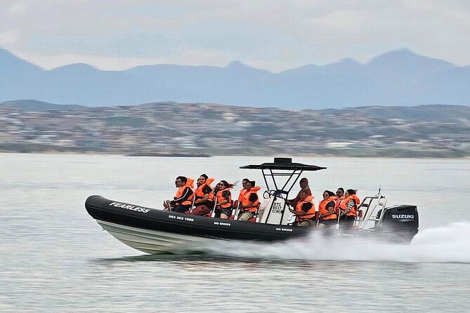 Mossel Bay Jet Boat Experience