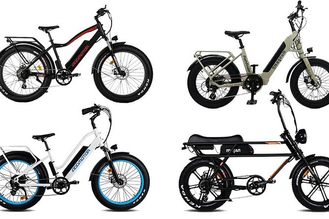 Motorcycle Style Ebike Fat Tire Rental in Puerto Rico - Good To Know