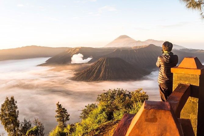 Mount Bromo Sunrise and Blue Fire Ijen Tour From Bali – 3d/2n - Tour Highlights