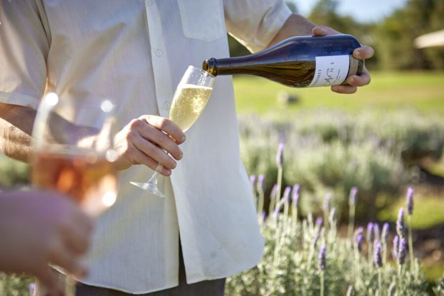 Mount Cotton: Paddock Picnic With Wine Tasting for Two - Picnic Hamper Inclusions