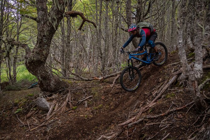 Mountain Bike Adventure in Punta Arenas - Good To Know