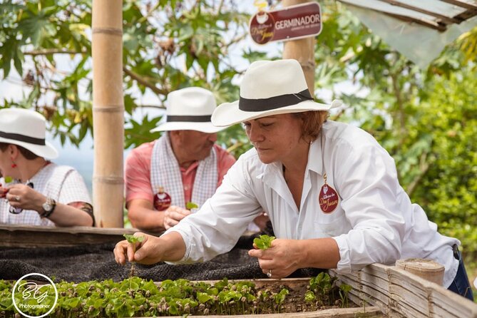Mountain Coffee Tour: Savoring Smiles in Colombia