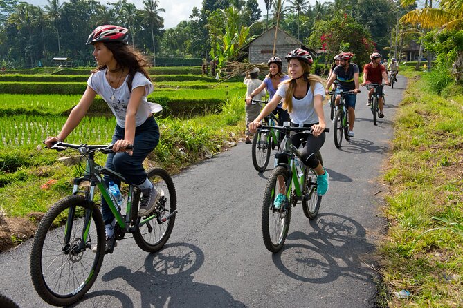 Mountain Cycling Tour - Good To Know
