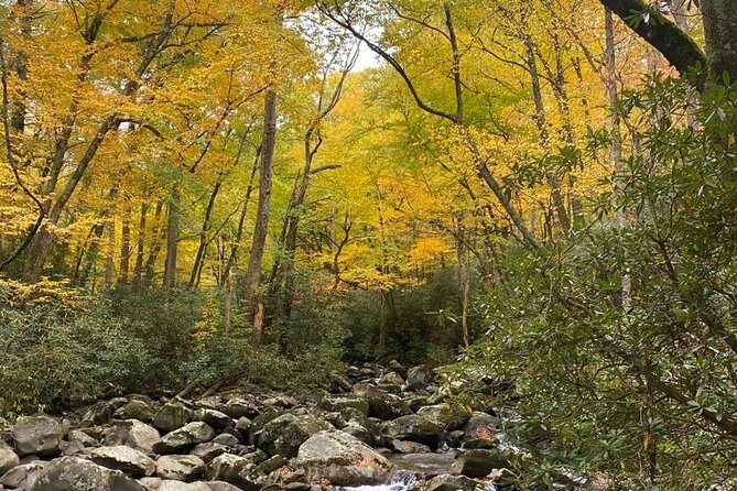 Mountaineers Way Hike in the Smokies - Good To Know