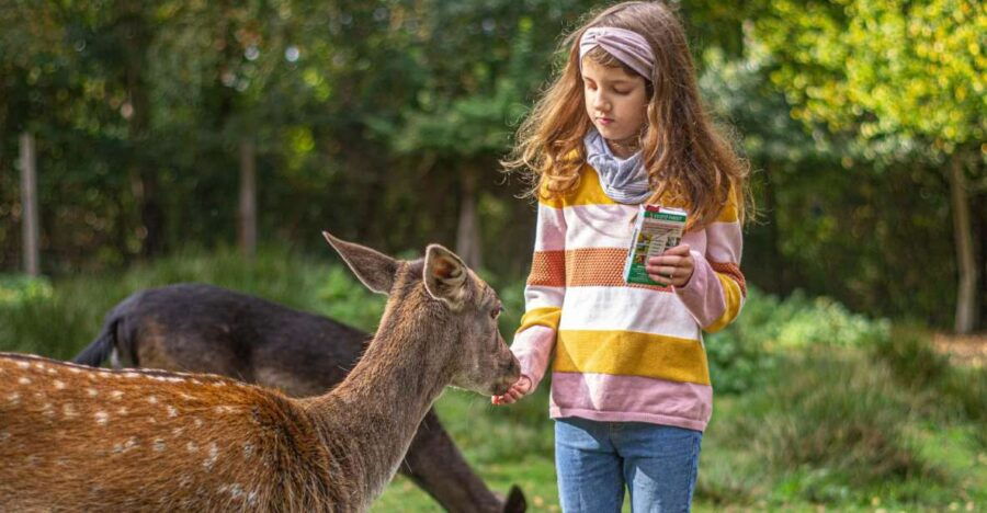 Müden: Wildlife Park Entry Ticket - Good To Know