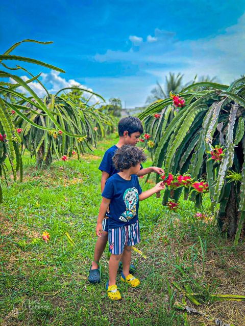 Mui Ne: Ta Cu Mountain Half Day Tour With Cable Car