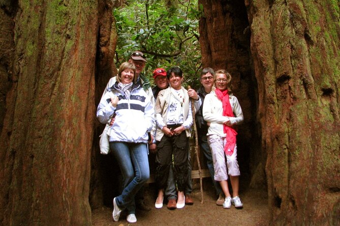 Muir Woods and California Wine Country 8 Hour Private Tour