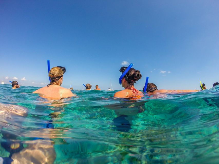 Munduk/Lovina: Waterfall, Snorkeling & Dolphin Watching Tour - Good To Know