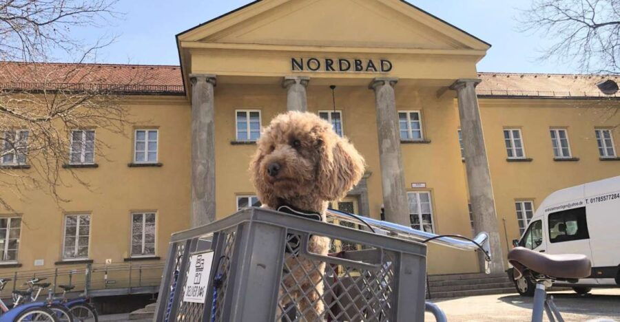 Munich: Bohème Schwabing Self-guided Neighbourhood Walk