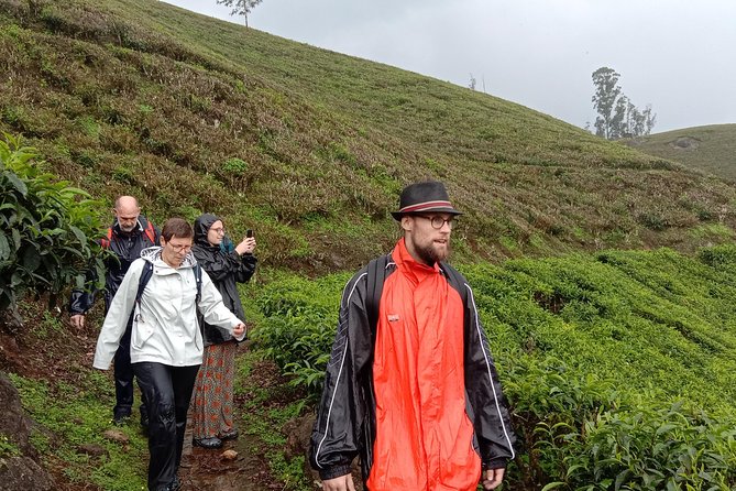 Munnar Private Trekking Tour With Breakfast and Snacks (Feb )